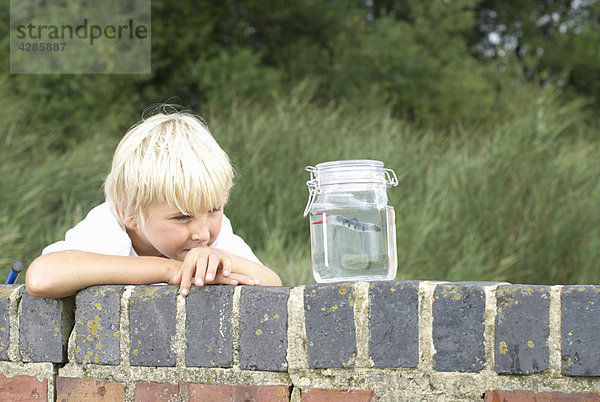 Kleiner Junge schaut Fisch im Glas an