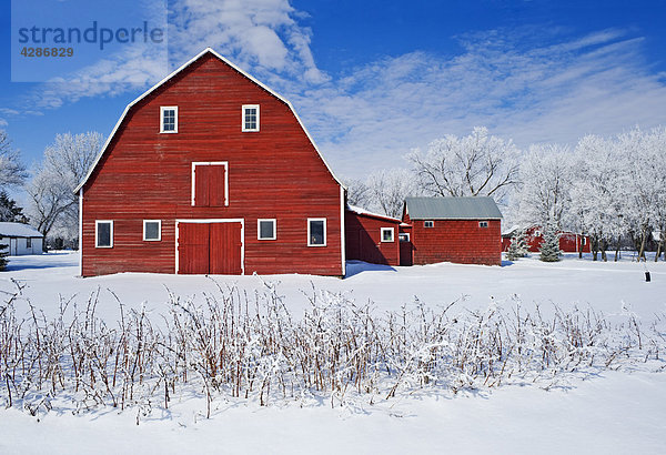 Red Barn  Winter  Grande Pointe  Manitoba  Kanada