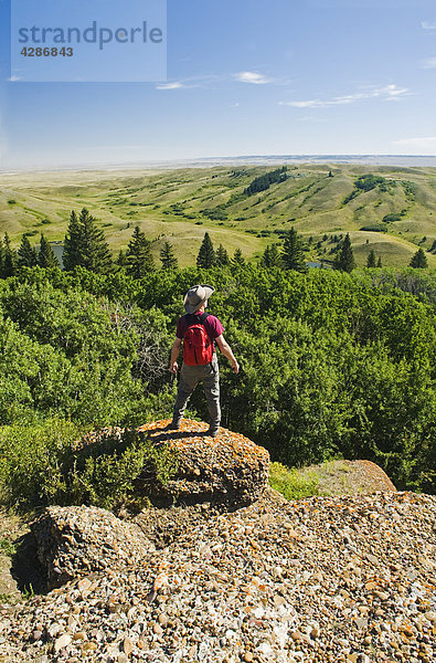 Wanderer am Konglomerat Klippen Lookout  Cypress Hills provinzübergreifender Park  Saskatchewan
