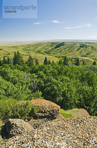 Konglomerat Klippen Lookout  Cypress Hills provinzübergreifender Park  Saskatchewan  Kanada