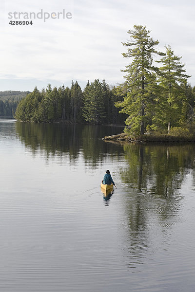 ältere Frau Paddeln in Richtung White Pines  Algonquin Park  Ontario  Kanada