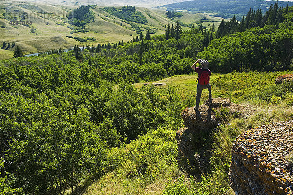 Wanderer auf dem Konglomerat Klippen Ausblick  Cypress Hills provinzübergreifender Park  Saskatchewan  Kanada