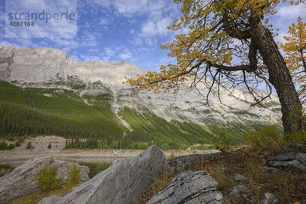 Herbst am Nachmittag über Medizin See im Jasper-Nationalpark mit der Queen Elizabeth Range in den Hintergrund  Alberta  Kanada