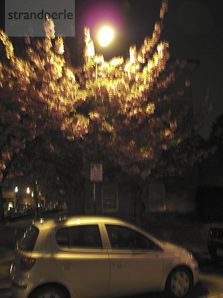 Parkplatz unter der Straßenlaterne bei Nacht