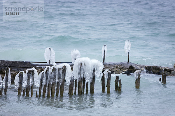 Eisbedeckende Stümpfe  die aus dem See ragen
