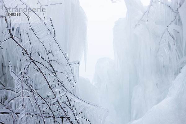 Eisbedeckte Bänder in der Winterlandschaft