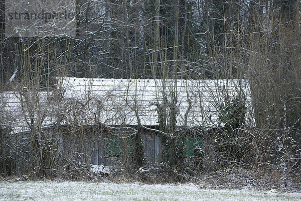 Von kahlen Bäumen verdeckter Schuppen im Winter