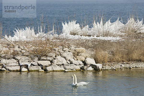 Winterliche Wasserlandschaft