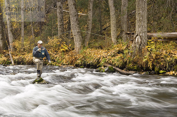 Fluss Herbst Fliegenfischen Kenai-Fjords-Nationalpark Halbinsel russisch