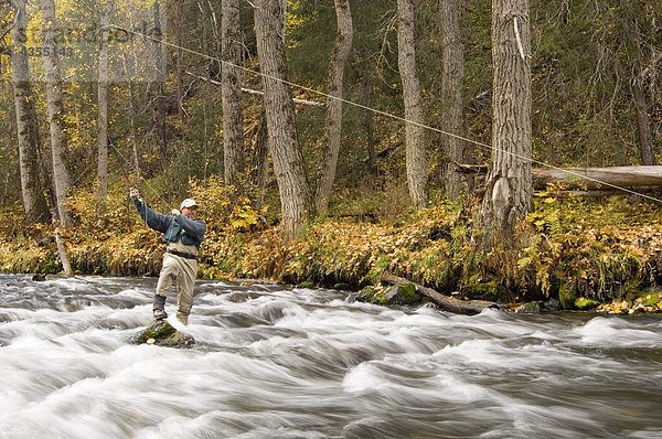 Fluss Herbst Fliegenfischen Kenai-Fjords-Nationalpark Halbinsel russisch