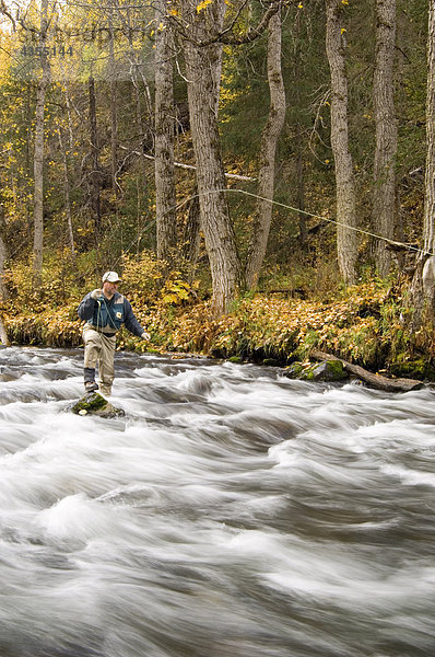 Fluss Herbst Fliegenfischen Kenai-Fjords-Nationalpark Halbinsel russisch