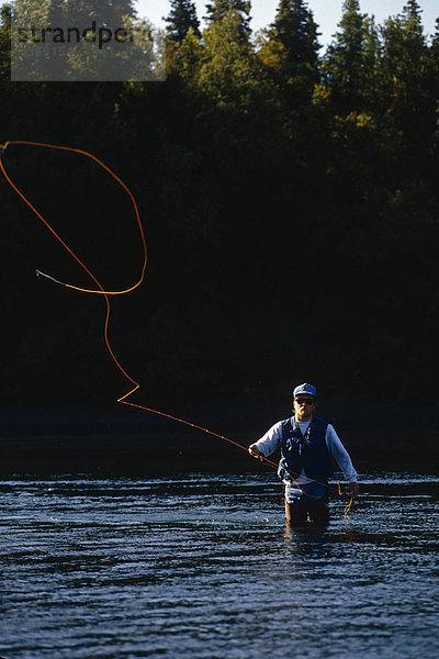 Gegenlicht Sommer Fluss Holz beleuchtet Süden Fliegenfischen Linie