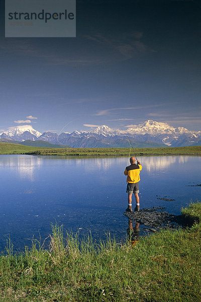 Wanderer Fliegenfischen auf Tundra Teich Denali SP SC AK Sommer