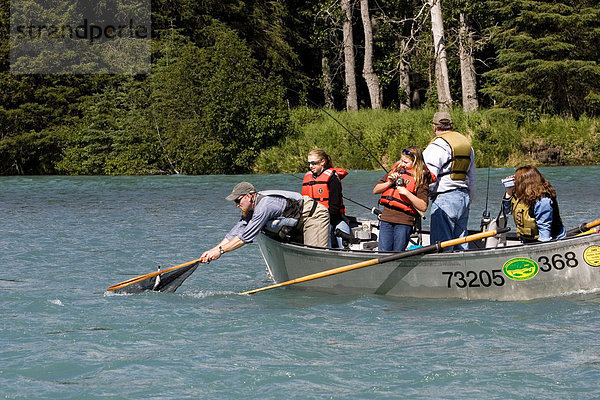 Netting-Fisch von Drift Boot Kenai River Kenai-Halbinsel in Alaska Sommer Guide