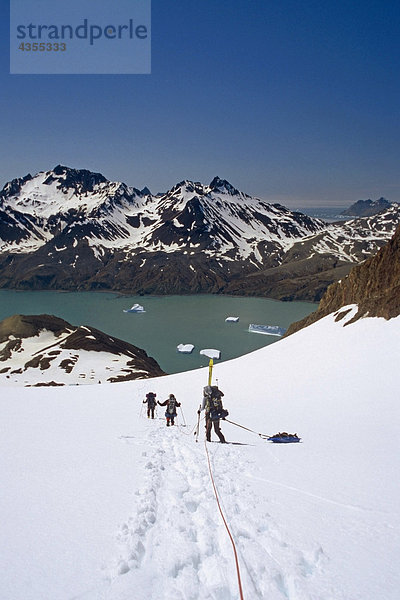 Kletterer absteigender an Seil Linie durch Tiefschnee zu Fortuna Bay Süd-Georgien Insel antarktischen Sommer