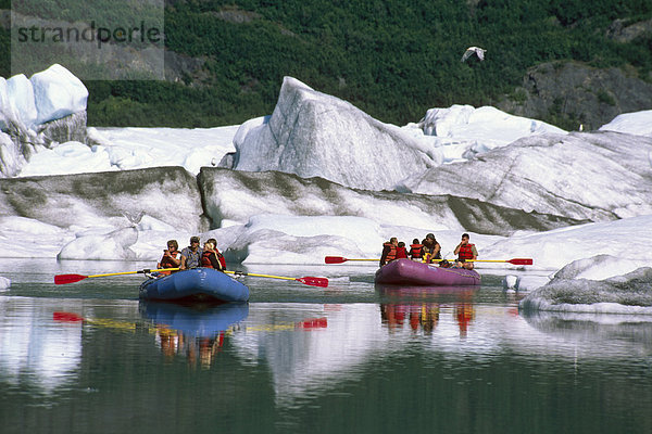 Sparren auf Placer River unterhalb Spencer Gletscher KP AK Sommer