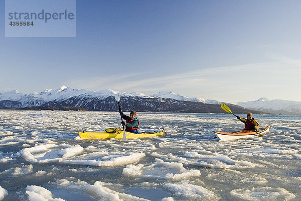nahe Frau Winter Eis Kenai-Fjords-Nationalpark Eisscholle Kajakfahrer Bucht Halbinsel