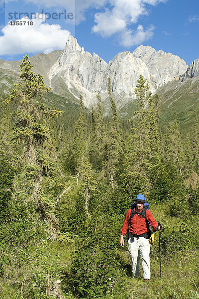 Mann backpacking in der Brookskette im Sommer in arktische Alaska