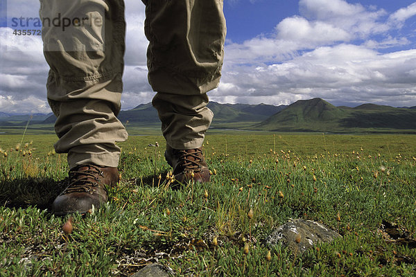 Wanderer 's Füße gehen auf Tundra ANWR AR AK Sommer