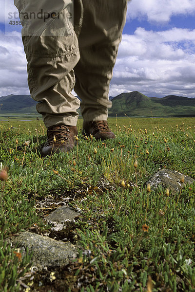 Wanderer 's Füße gehen auf Tundra ANWR AR AK Sommer