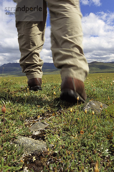 Wanderer 's Füße gehen auf Tundra ANWR AR AK Sommer