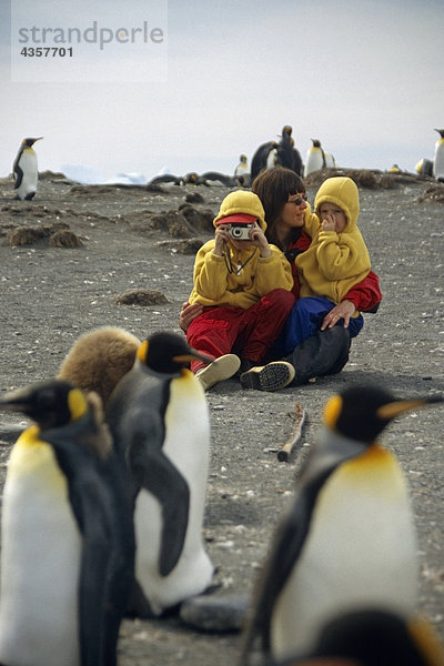 Kinder sitzen am Boden zusammen photographie King Pinguinen @ Gold Harbor S.Georgia ist Antarktis