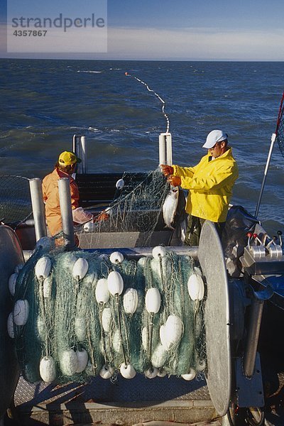 Kommerzielle Fischer auf Boot schleppen Kiemennetzen w/Red Lachs  Cook Inlet  KP  Alaska Sommer.