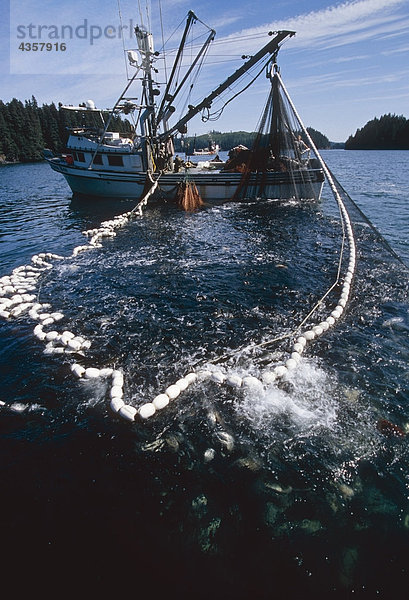 Kommerzielle Seiner Fischerboot schleppen in großen Fang von Buckellachs Südwesten AK Kodiak-Archipel Sommer