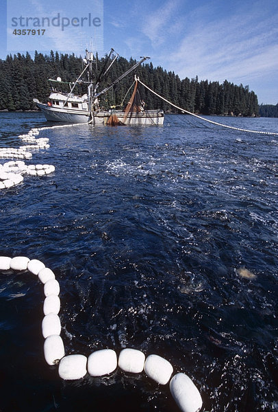 Kommerzielle Seiner Fischerboot schleppen in großen Fang von Buckellachs Südwesten AK Kodiak-Archipel Sommer