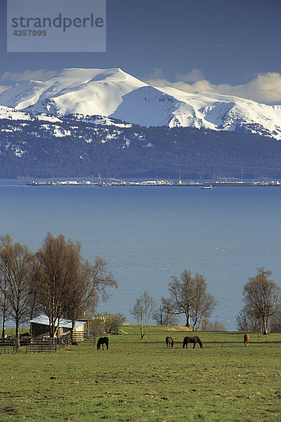 Berg Bauernhof Hof Höfe Ignoranz Kenai-Fjords-Nationalpark Kachemak Alaska Alaska Bucht