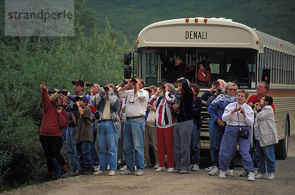Touristen drängten sich vor der Tour Bus Ansicht Wildlife im Denali National Park Inland Alaska Sommer