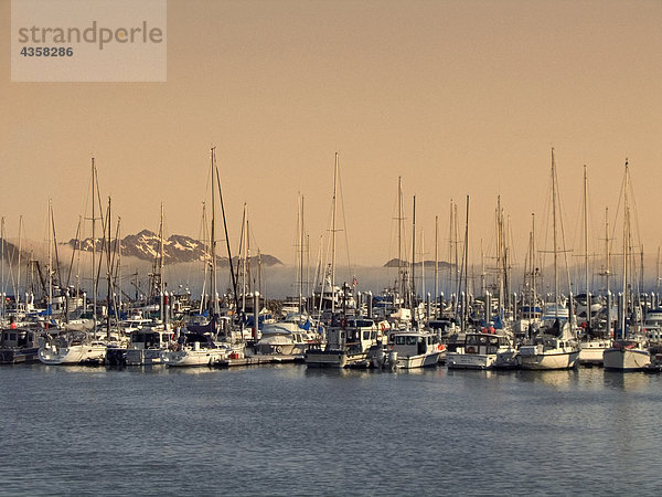 Seward Bootshafen w/Low Cloud Layer KP Alaska Frühling Kenai CT Resurrection Bay