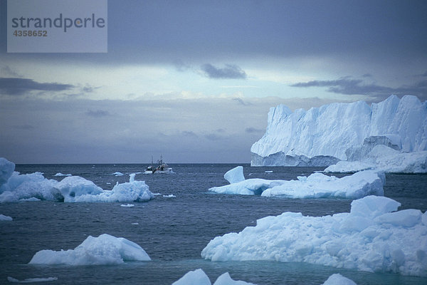 Fischerboot w / Eisberge Disko-Bucht Grönland
