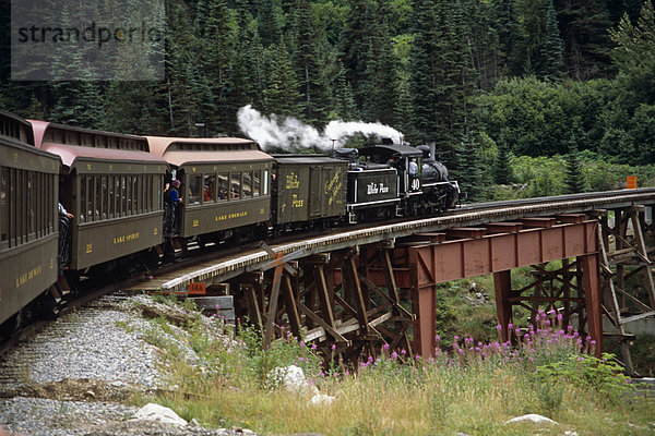Yukon Route Railroad auf Tressel SE AK Sommer in der Nähe von Skagway