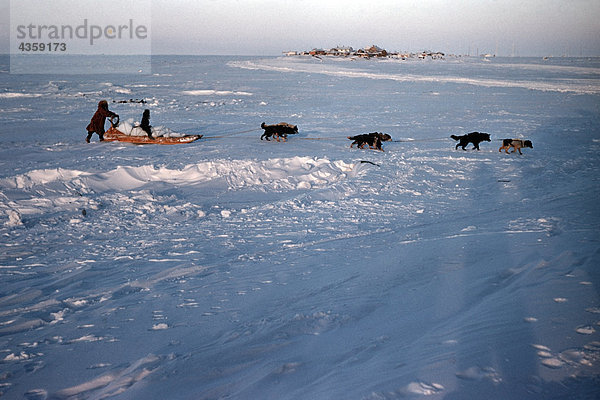 Alaska Native Eskimo Inupiat Familie immer ihr Trinkwasser mit Hundeschlitten heraus auf dem Eis Barrow Alaska