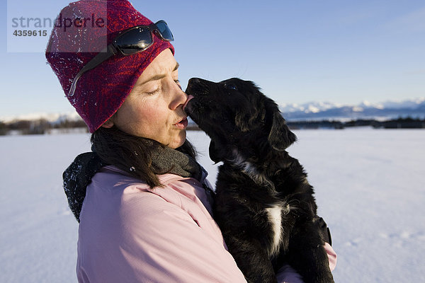 Junge Frau hält ihre Berner Sennenhund Welpen im Freien im Winter und erhielt einen lecken auf dem Gesicht. South Central Alaska