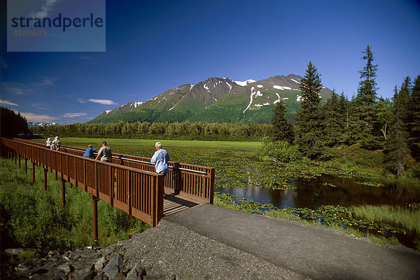 Besucher Ansicht Teich Lilien auf Bear Lake Boardwalk AK KP Sommer