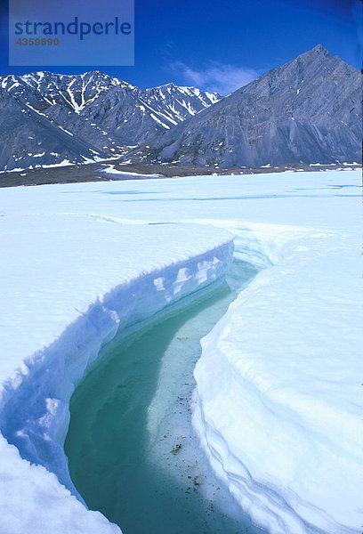 Sommer schmelzen Alaska Arktis