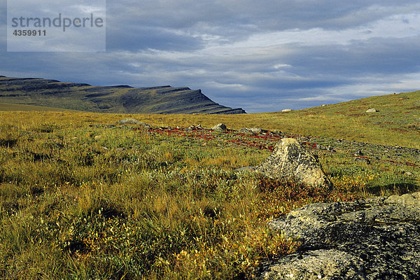 Tundra in der Nähe von Sagavanirktok River Brookskette ANWR AK Sommer