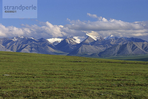 Arktische Tundra w/Phillip Smith CT ANWR AK Sommer Brooks reichen