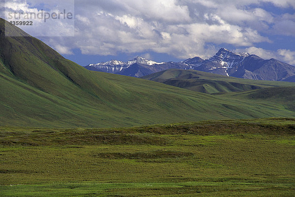 Arktische Tundra w/Phillip Smith CT ANWR AK Sommer Brooks reichen