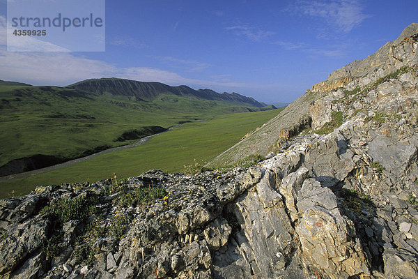 Tundra in Atigun Schlucht ANWR AK Sommer Brookskette