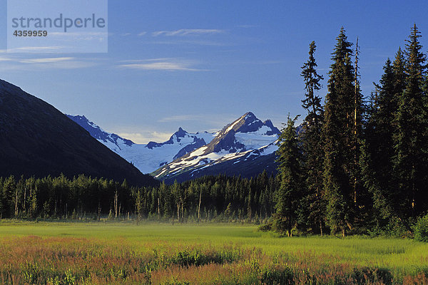 Paradise Peak über Marsh entlang Schnee River KP Alaska Sommer Chugach NF Kenai Mtn