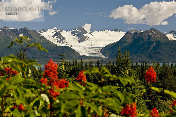 Sommer Scenic Grewingk Gletscher und den Kenai Mountains des Kachemak Bay State Park in South Central Alaska