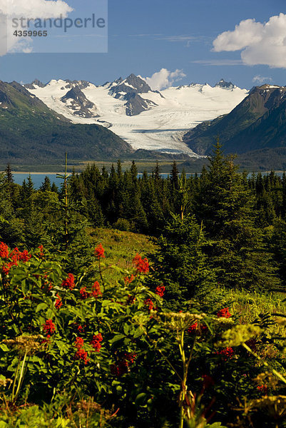 Sommer Scenic Grewingk Gletscher und den Kenai Mountains des Kachemak Bay State Park in South Central Alaska