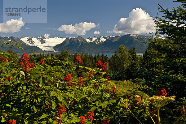 Sommer Scenic Grewingk Gletscher und den Kenai Mountains des Kachemak Bay State Park in South Central Alaska