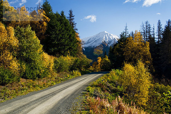 Herbstfarben und snowcapped Spitzen entlang der Straße Palmer Creek in der Nähe von Hope in den Chugach National Forest auf der Kenai-Halbinsel in South Central Alaska.