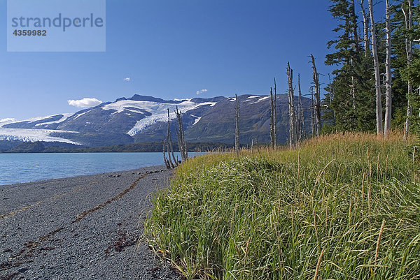 Strand entlang Blackstone Bay Chugach NF SC AK PWS Sommer