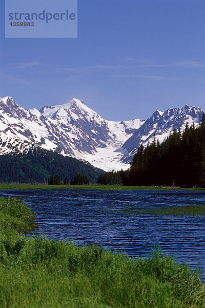 Feuchtgebiete in der Nähe von Portage AK SC Sommer Kenai CT