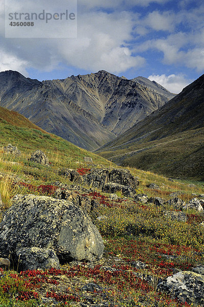 Tundra in der Nähe von Atigun Pass Phillip Smith CT AR AK Herbst Brookskette